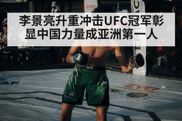 UFC championship belt