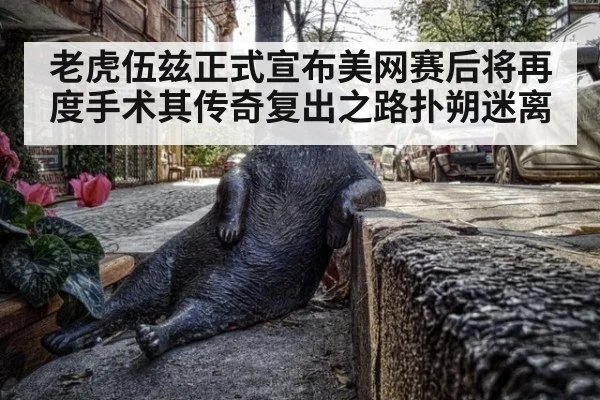 老虎伍兹正式宣布美网赛后将再度手术其传奇复出之路扑朔迷离